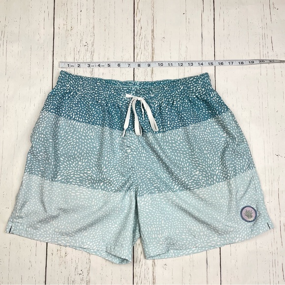 Chubbies The Whale Shark Stretch Swim‎ Trunks *5.5” - Picture 2 of 16